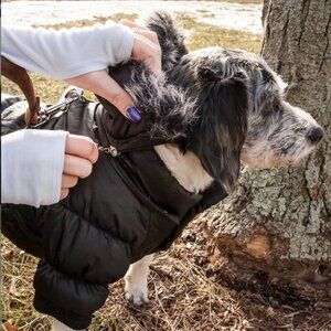 Pet Parka with 3M Thinsulate Insulation Technology - M & XL